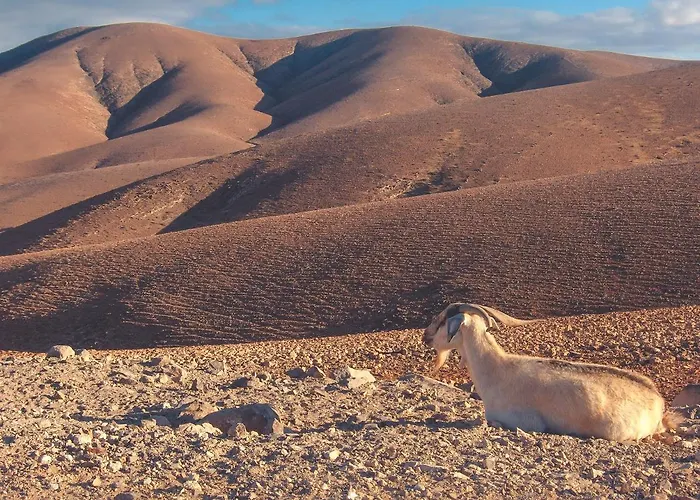 - Aire - Surf & Yoga דירה